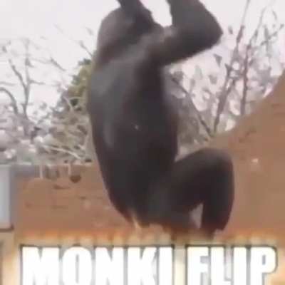 oyhş