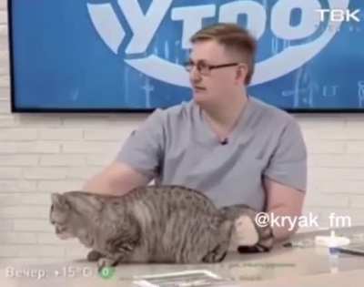Этот взгляд