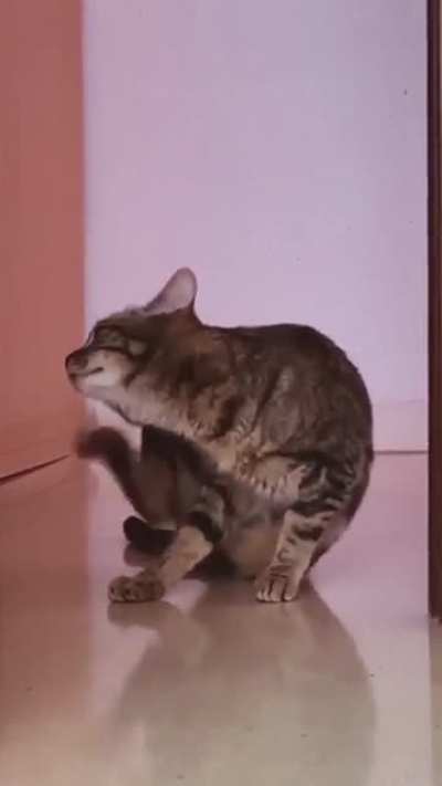 Oh lord! he coming