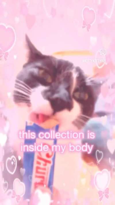 Lobotomised wunk 