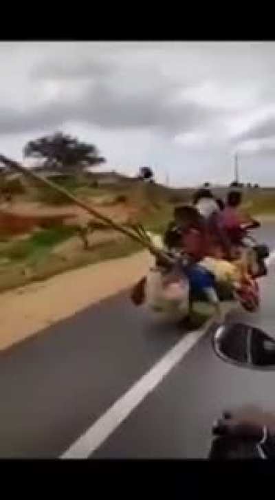 A nice family road trip.
