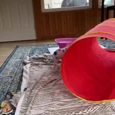 Running through the tube