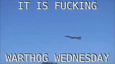 ITS WARTHOG WEDNESDAY