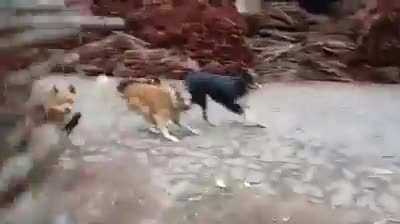 Now they know how it's like