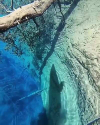 🔥 This little crater with perfectly clear water 🔥