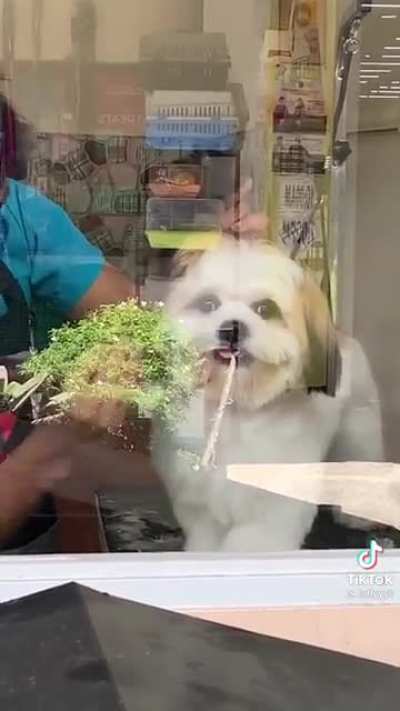 :)