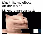 Oh boi stop
