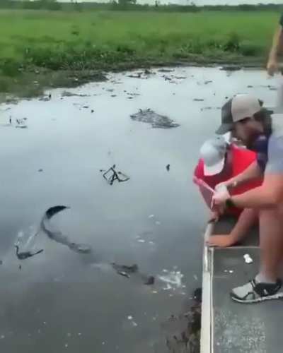Normal day in Florida