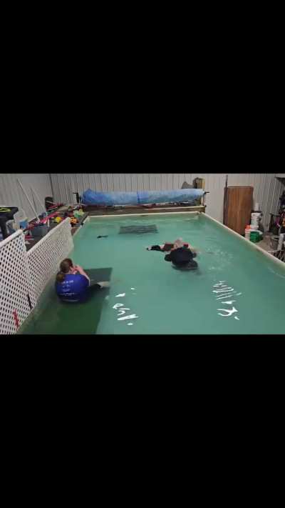Brass & Chimera working on their swimming 🥰