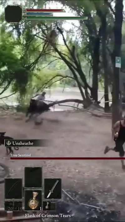 Tree Sentinel in real life