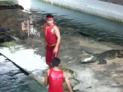 Crocodile feeding goes terribly wrong