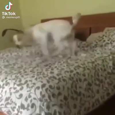 I hope this hasn’t been posted on here yet. This is perfect