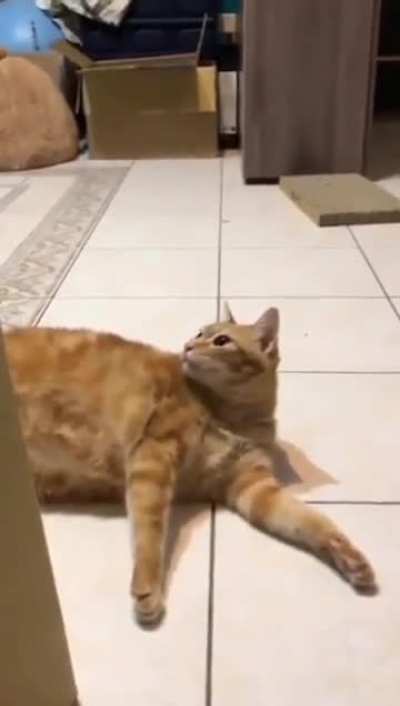 aaaaaa-