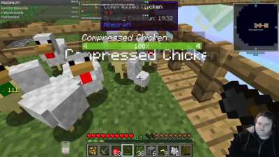CHICKEN DISASTER