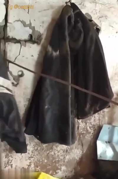 They were just keeping the coat warm