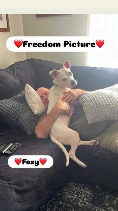 WONDERFUL AND GRATEFUL UPDATE: Foxy, Flapjack, Kingston, Rocky and Princessa have been rescued by Raidens Haven. We are beyond grateful to this rescue for saving these 5 precious dogs. Thank you all for helping them!