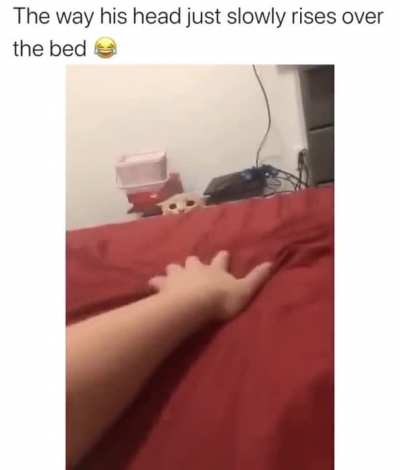 Jumpscare