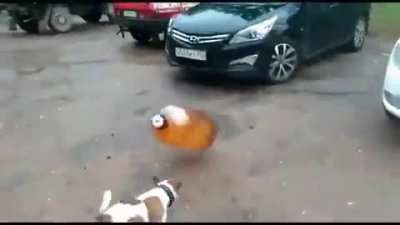 FLASH BONK