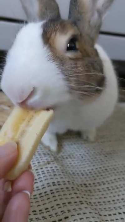 Banana time