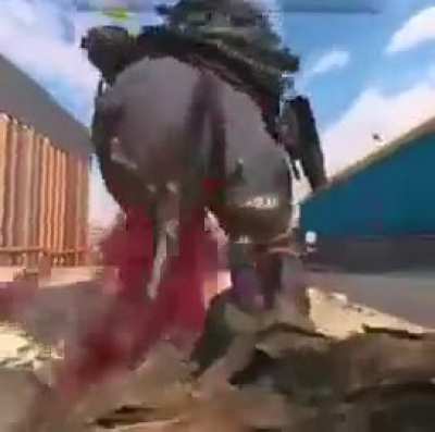Moldy ass drilling