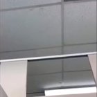 Dumbasses