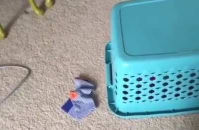 This self-loading laundry basket