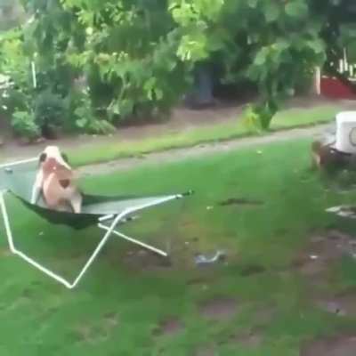 Everything is under control