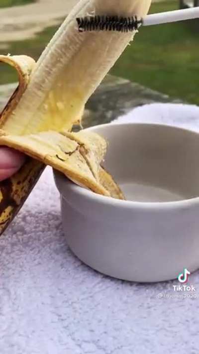 Just a cow living its best life <3 (saw on TikTok)