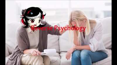seija's adventure on trying different jobs