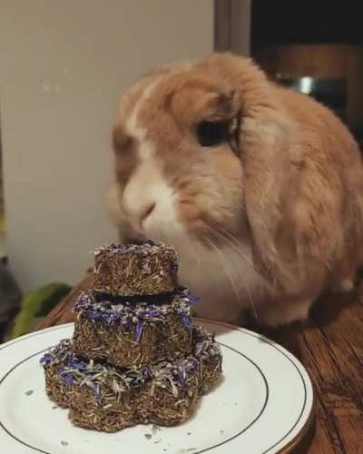 Celebrating 1 year together!