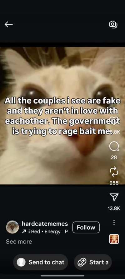 Love is in the air