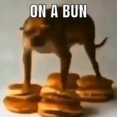Moldy buns