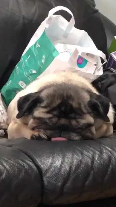 Ladies and gentlemen, my bread loaf.