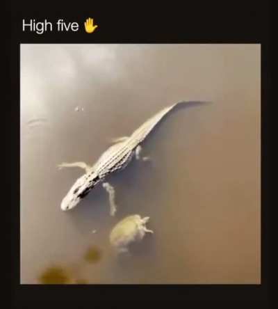 Just a normal day