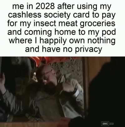 life has never been better