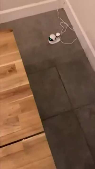 Big tits wife fucked on the table by r /TomxcontentsX