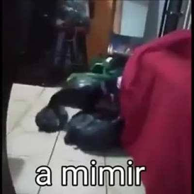 Mimir Time