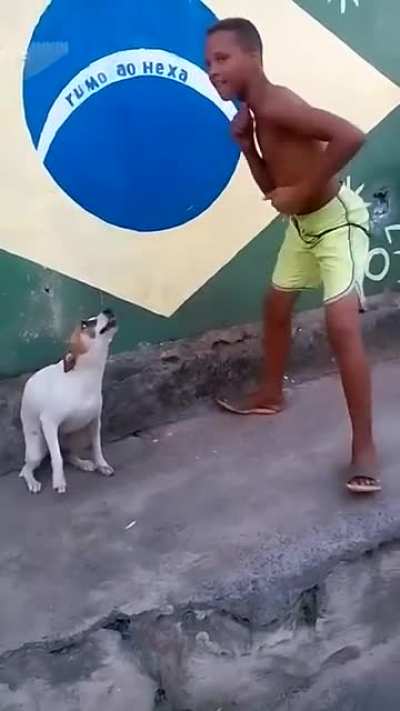 In case you are having a rough day, here is a doggo dancing with his hooman