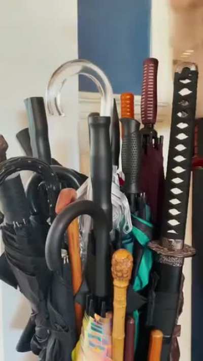 Azzyland yt short