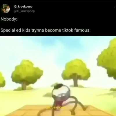 Tiktok is gay.