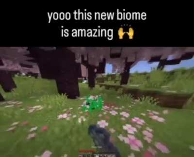 The Minecraft update is.... interesting...