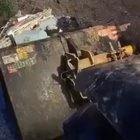 Trash finds its way back