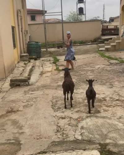 Follow her ANYWHERE