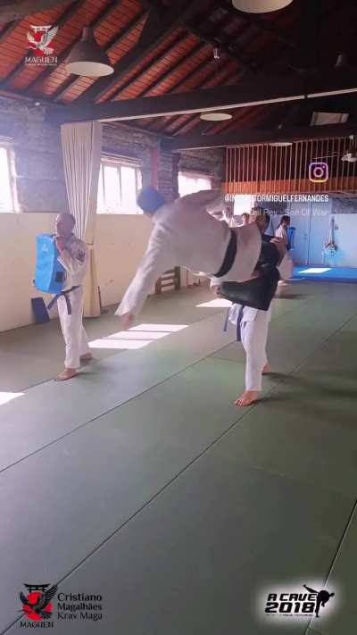 Double leg fly kick