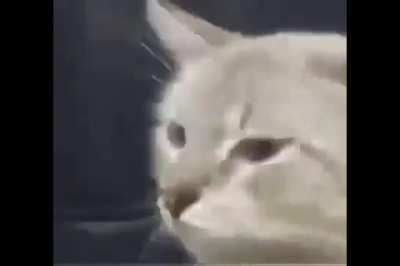 u_whyreddit-why