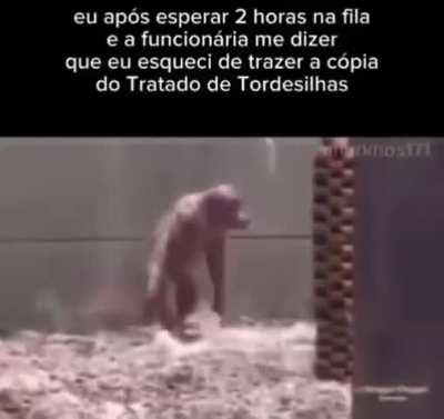 Paia