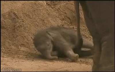 Derpy adult kicks infant