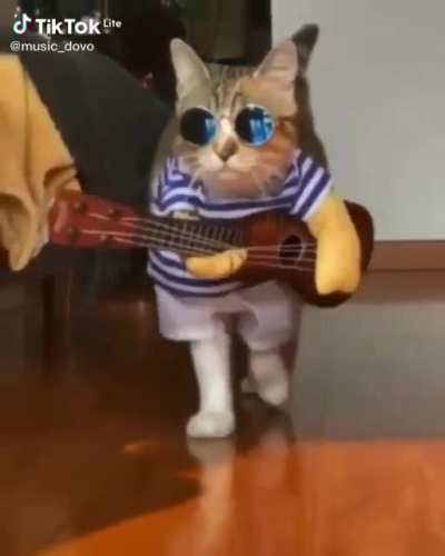 Mariachi))