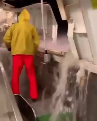 Not a hope in hell
