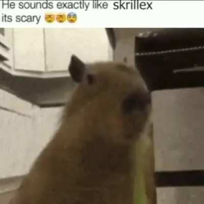 no fucking way